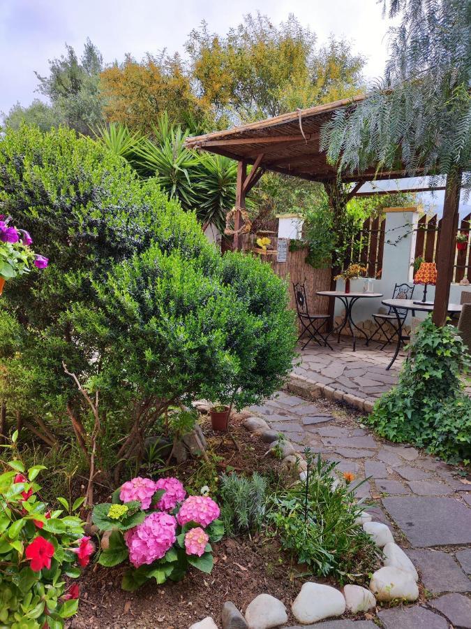 La Pirata Capitana Bed & Breakfast Costa degli Angeli Exterior foto