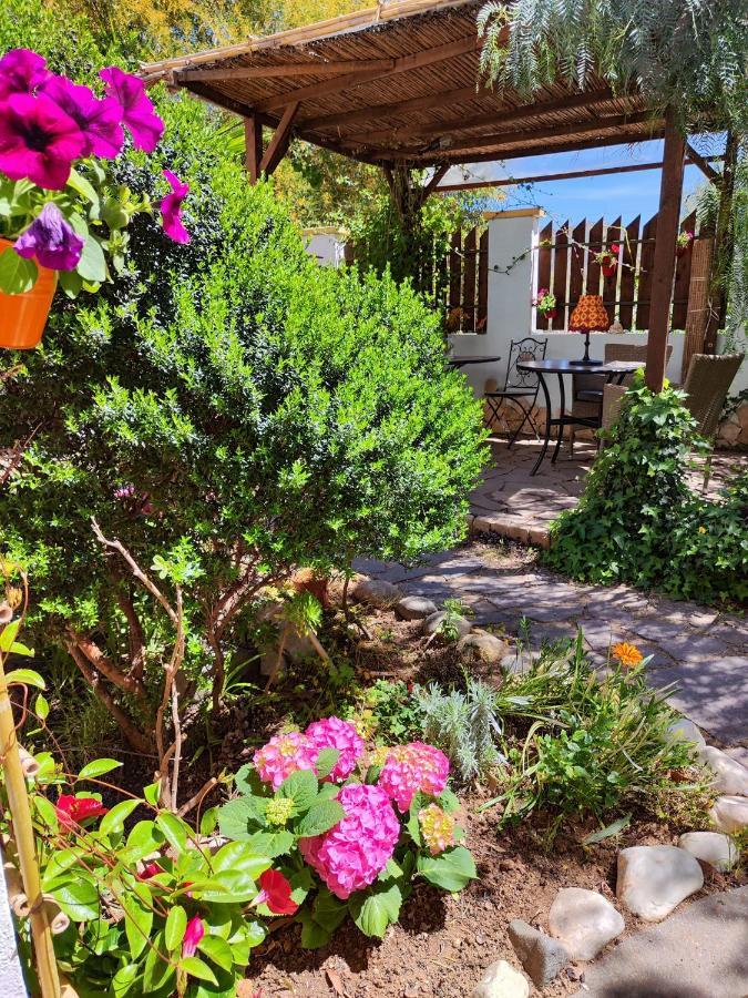 La Pirata Capitana Bed & Breakfast Costa degli Angeli Exterior foto